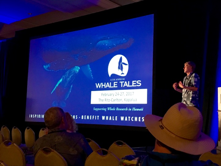 whale-tales-1-1